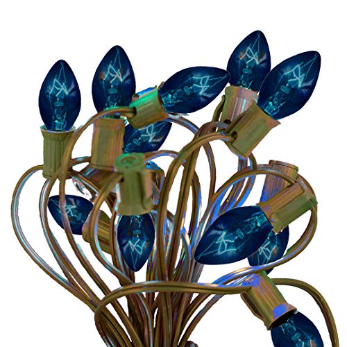 Luces de cadena para patio exterior 25 ft C-9 Azul
