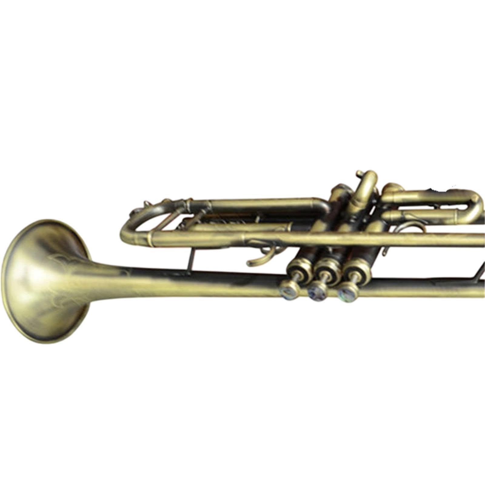 Professional Trumpet Trompeta en si bemol para principiantes