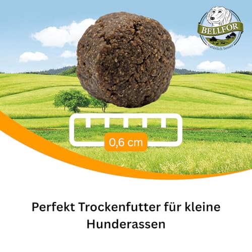 Bellfor Heide-Schmaus Mini Getreidefreies Hundetrockenfutter mit Lamm und Kaninchen 2,5 kg - für kleine Hunderassen mit hoher Verdaulichkeit ohne tierische Nebenerzeugnisse