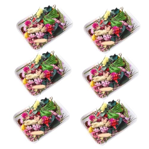 Flores secas naturales decorativas para manualidades DIY miniatura 1
