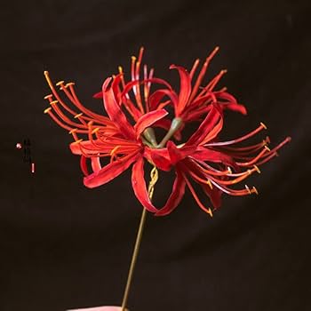 Amazon.co.jp: IADSFSV(ひさこ) かんざし 彼岸花 曼珠沙華