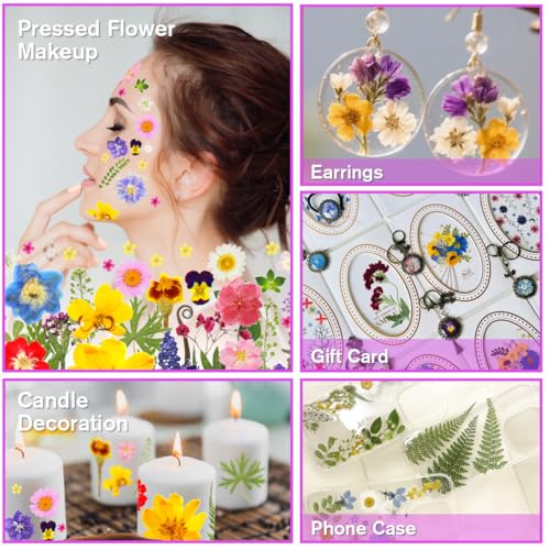 CAwished 120 Stück bunte Getrocknete Gepresste Blumen mit Schmetterlingsaufklebern. Echte Natürliche Getrocknete Gepresste Blüten für DIY Schmuck, Nagelkunst, Handyhülle und Schmuckkästchen Dekoration
