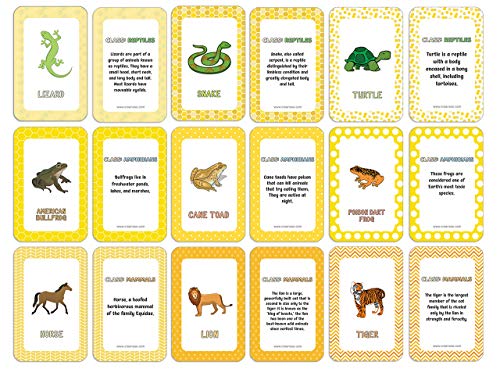 Creanoso ঒ށAށAMނ̊wKJ[h(2fbL) ? |[^ufUCMtgACfA ap[eB[pi j̎q/̎q - yz[XN[OXgbLOX^bt@[ ? DIYoN