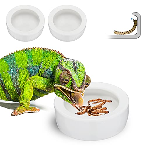 automatic chameleon feeder