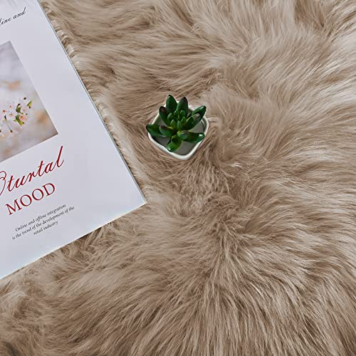Latepis Light Brown Beige Living Room Rugs Faux Sheepskin Fur 5x7 Area Rugs for Bedroom Fluffy Washable Rug Large Plush Fuzzy Floor Rug Home Decor Rectangle