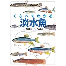 くらべてわかる　淡水魚の表紙