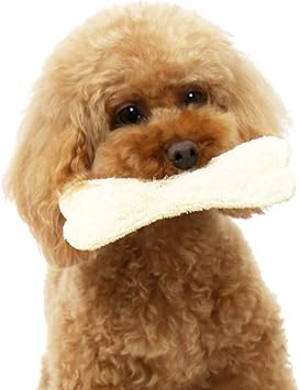 Amazon 犬 歯磨き おもちゃ デンタル ヘチマおもちゃ 15 4 7cm 小 小型犬用 犬の歯磨き デンタルケア 犬のはみがき 噛むおもちゃ 998 ペットパラダイス 歯ブラシ 通販