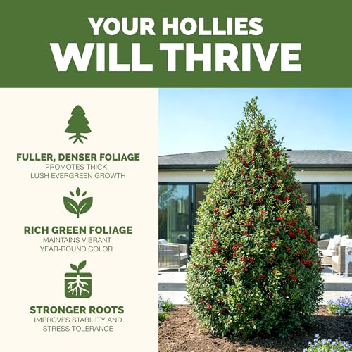 Holly Fertilizer alimento líquido para plantas 32 oz miniatura 2