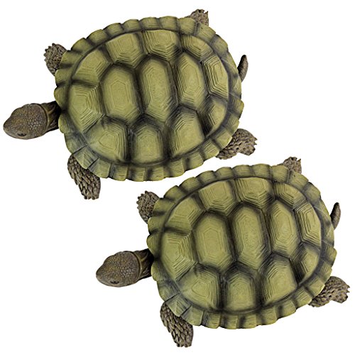 Design Toscano QM91887611 Gilbert The Box Turtle Indoor/Outdoor Garden Decor Animal Statue Set Of Two thumb #2
