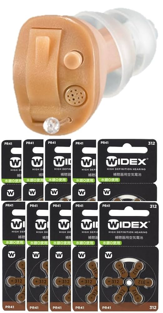 補聴器 ONKYO  OHS-D21  左耳用 電池プレゼント オンキヨー 補聴器 OHS-D21（空気電池6Pプレゼント）(右耳用