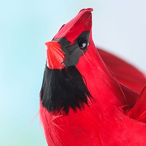 【新品 即納】FUTUR for Graphpaper \"Red Bird\" 新品 即納】FUTUR for Graphpaper Red Bird