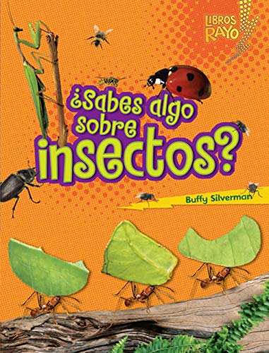 ¿Sabes algo sobre insectos? (Do You Know about Insects?) (Libros Rayo — Conoce los grupos de animales (Lightning Bolt Books ® — Meet the Animal Groups)) (Spanish Edition)