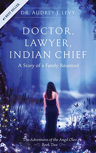 Doctor, Lawyer, Indian Chief: A Story of a Family Reunited (The Adventures of the Angel Oleo Book 2) - image 1