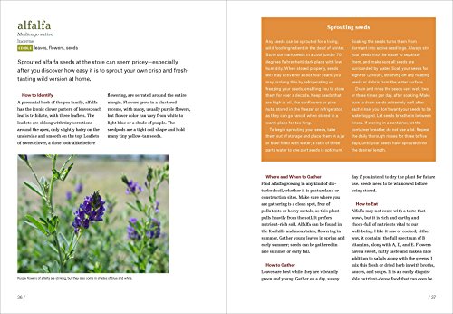 Mountain States Foraging: 115 Wild And Flavorful Edibles From Alpine Sorrel To Wild Hops (Regional Foraging Series) #TOP3