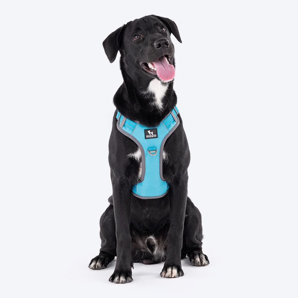 Heads Up For Tails Active Pet Dog Harness - Light Blue Breathable, Strong and Durable Dog Harness