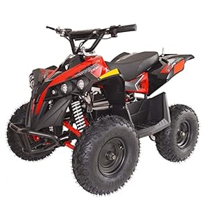 Offroad Mall 36V 1000W Electric ATV Dirt Quad 4-Wh...