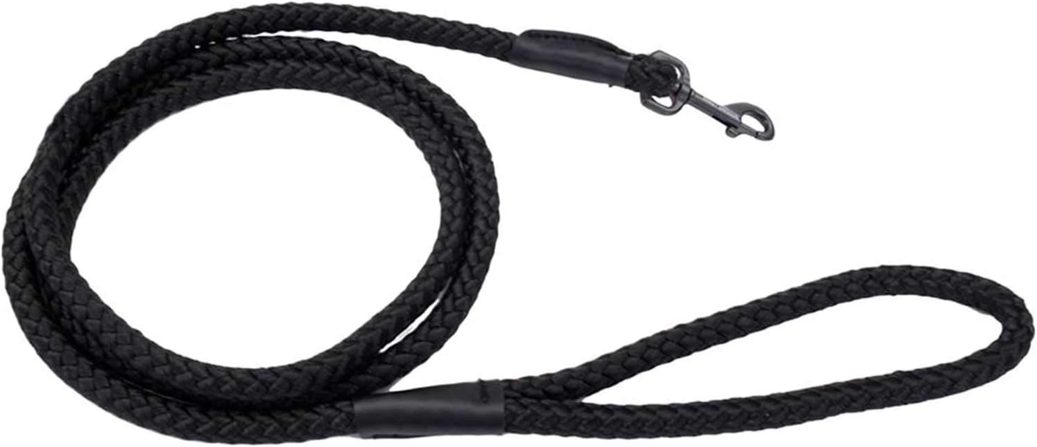 HarleyDavidson Braided Nylon Rope Dog Leash with Metal
