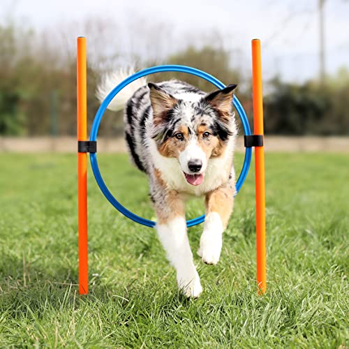 vabiono Agility Dog Trainings Set X Tunnel-Sprungring-Hürden-Slalom-Stangen für Hunde