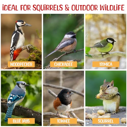 Premium Quality Raw Out of Shell Peanuts - 5 Pounds - Shelled Peanuts for Birds – Wildlife Quality - Food for Squirrels, Deer, Birds, and Other Wildlife Animals – Grown in The USA