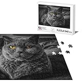 Décoratif : Une fois complété ces puzzle fera un superbe objet décoratif