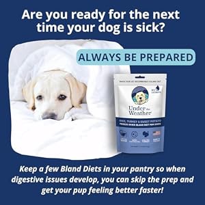 Beneath the Climate Simple to Digest Bland Food regimen for Sick Canines - All the time Be Prepared - Accommodates Electrolytes - Gluten Free, All Pure, Freeze Dried 100% Human Grade Meats - Turkey, Rice & Candy Potato Beneath the Climate Simple to Digest Bland Food regimen for Sick Canines – All the time Be Prepared – Accommodates Electrolytes – Gluten Free, All Pure, Freeze Dried 100% Human Grade Meats – Turkey, Rice & Candy Potato