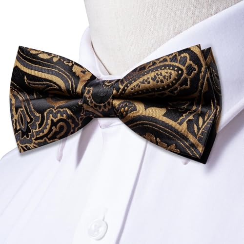 Image of Dubulle Mens Paisley Striped Bowtie Set Pre-tied Bowtie for Men and Pocket Square Set Wedding Business