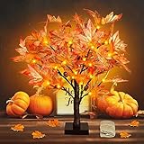 Remon 18 Inch Lighted Fall Maple Tree - 1.5FT Thanksgiving Tabletop Lamp Decor with 36 LED Lights, 72 Maple Leaves, 6 Acorns, Timer Function, Battery Operated Fall Artificial Tree with Burlap Base