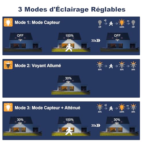 Projecteurs extérieurs avec télécommande pour sécuriser l'allée de maison - 5