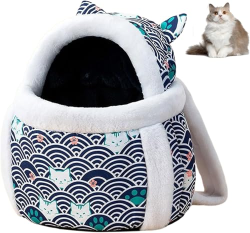 kxptso L̂R O   obO Ȃ bN LR h΍ ӂӂ яoȂ R  ӂӂ ^ ^ pR ʋC ϋv  ԕR   R  s U H~p