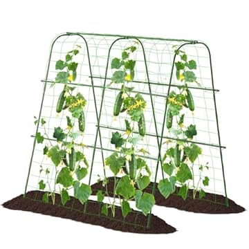 sugar snap pea trellis