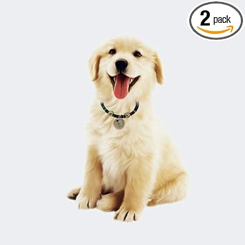 GIANTE Ethnic Style Dog Puppy Pet Cat Collar Necklace with Bell Decoration Blue