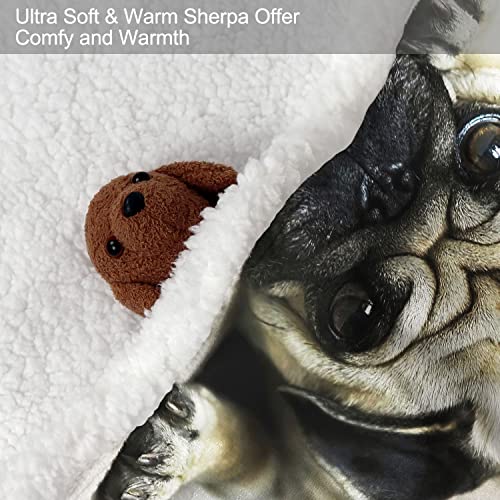 Xsmei 60 Inchx80 Inch Pug Sherpa Blanket Dog Print Throw Blanket Super Soft Fuzzy Blanket Thick Warm Fleece Blankets For Couch Bed thumb #4
