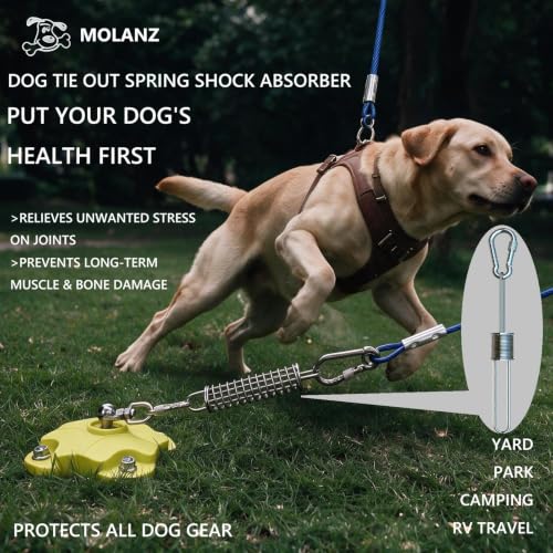 Image of Dog Tie Out Spring Shock Absorber, Heavy Duty 304 Stainless Steel with Carabiners for 3 Medium & Large Dogs, Spring Pole, Stake Cable Leash, Yard Camping Ties - Fits Multiple Dogs (3 Springs)