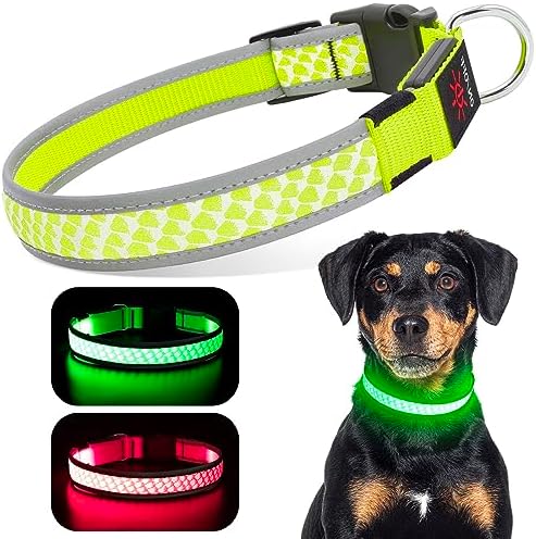 Lighted Dog Collars Rechargeable Waterproof LED Dog Collar, Light Up Dog Collars Glow in The Dark, Collars with Reflective Edging – Safety Dog Glow Collar Light for Night Walking (Green, M)