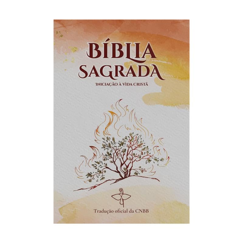 Bíblia Sagrada iniciação à vida cristã: Novo Design