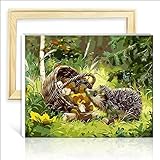 Digital Painting for Adults and Kids Hedgehog Grass Fruit Basket 40x50cm Digital Oil Painting Set Suitable for Developing Children's Concentration with Framed