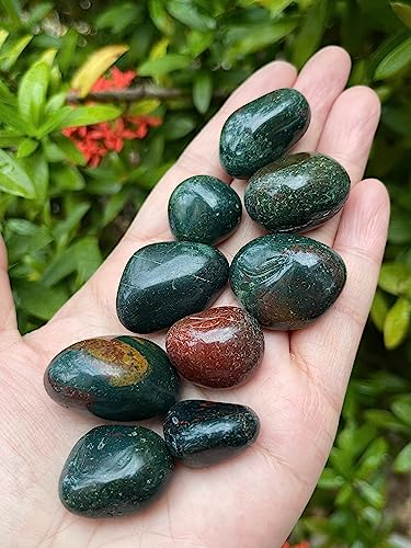 Image of GAF TREASURES 1 /2 LB Bloodstone Tumbled Stones, Polished Natural Bloodstone Gemstone, Bloodstone Healing Crystals (Bloodstone)