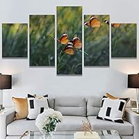 SIGNWIN 5 Panel Canvas Wall Art Modern Art Ants Butterfly Colorful Insects Minimalist Multicolor Photography for Home Decorations Ready to Hang - 60