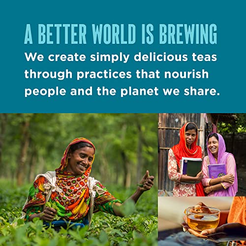 Teatulia Organic Earl Grey Tea Bags (50 Pyramid Tea Bags) | 100% Compostable | Black Tea + Bergamot Citrus Sustainably Grown In Bangladesh #TOP6