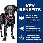 Hill's Science Diet Adult Perfect Weight & Joint Support Large Breed Dry Dog Food, Chicken, 25 lb. Bag - Image 5