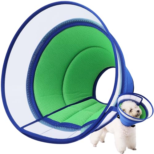 Dog Cone Collar The 15 best products compared Wild Explained