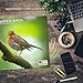 2026 Garden Birds Calendar - Cute Animal Calendar - 12 x 24 Open - Thick No-Bleed Paper - 14 Month Planner Calendar Organizing & Planning