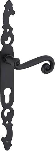 Ensemble de Poignées pour Porte d'Entrée Coq THIRARD