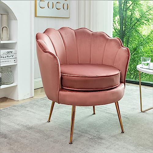 Velvetbarrelaccentchairwithscallopedsilhouetteandgoldmetallegsdecorativepiecesuitablefortraditionalmodernandcontemporaryspacesrose Urban Country Home Decor Velvet barrel accent chair with scalloped silhouette and gold metal legs decorative piece suitable for traditional modern and contemporary spaces rose urban country home decor