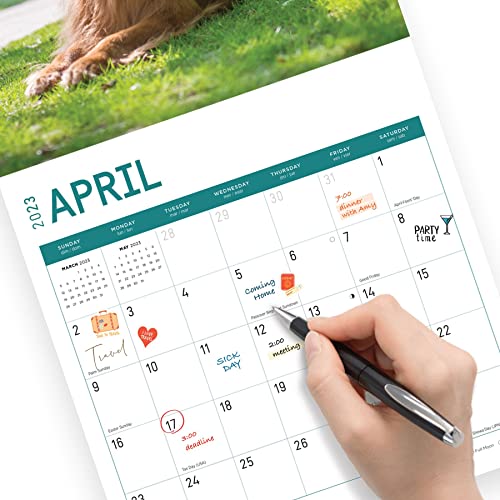 2023 Golden Retrievers Wall Calendar By Bright Day, 12X12 Inch, Cute Adorable Pet Puppy Dog Photography #TOP4