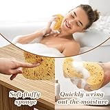 Body Bath Sponge 3 PCS Natural Sponge for Shower Sea Sponge Large Soft Honeycomb with Dense Foam for Gentle & Deep Cleansing Ultra-Soft for Sensitive Dry Skin Bring Face Wash Puff - Image 4