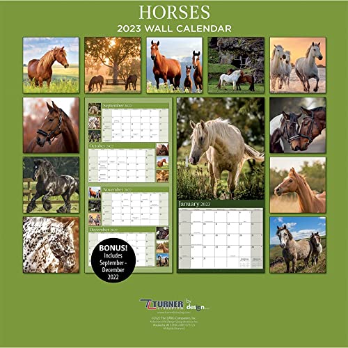 Turner Licensing, Horses 2023 Wall Calendar #TOP1