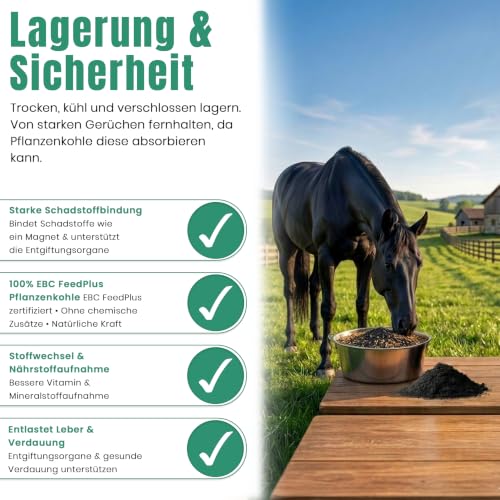 Futterkohle für Pferde 10L, Natürlicher Futtermittelzusatz 0-3mm|C44-Zittau