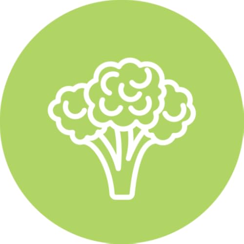 Quick Veggie Recipes