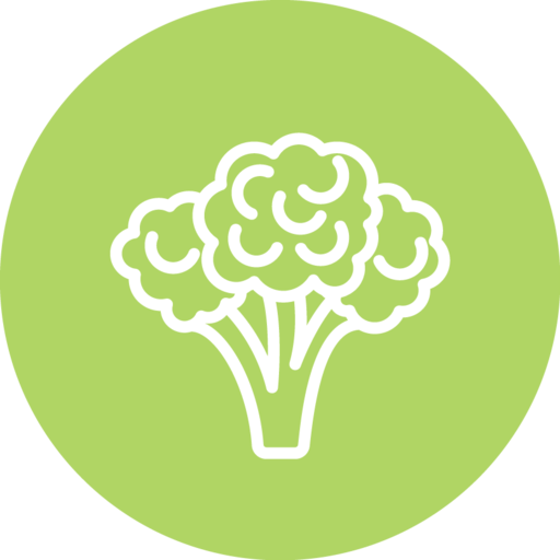 Quick Veggie Recipes App on Amazon Appstore